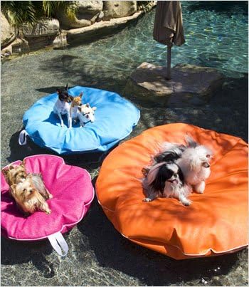 Pet Pool and Deck Lounger Kentucky Blue (LG 47")