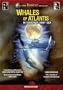 Whales of Atlantis: In Search Of Moby Dick