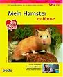 Hamster, zu Hause