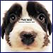 Artlist Collection the Dog 2005 Calendar Australian Shepherd