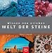 Books : Wissen neu erleben: Welt der Steine