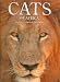 Books : Cats of Africa