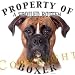boxer11 - Boxer UNCROPPED Mousepad Dog Mouse Pad Property Of