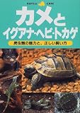 カメとイグアナ・ヘビ・トカゲ―爬虫類の魅力と、正しい飼い方