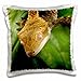 3dRose pc_84106_1 New Caledonian Crested Gecko lizard-NA02 MPR0089-Maresa Pryor-Pillow Case, 16 by 16