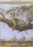 Chasser en Afrique : De la b�cassine...