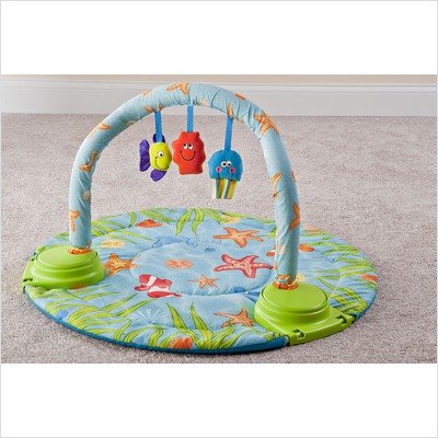 Evenflo Double Fun Developmental Activity Center, Ocean