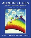 Auditing Cases: An Active Learning Approach (2nd Edition)