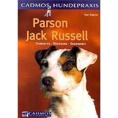 Parson Jack Russell
