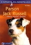Parson Jack Russell