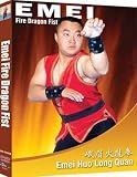 Tai Chi: Emei Fire Dragon Fist
