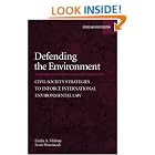 Defending the Environment: Civil Society Strategies to Enforce International Environmental Law by  Linda Malone and Scott Pasternack