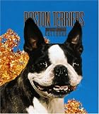 Boston Terriers Weekly 2006 Calendar