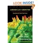 American Ground: Unbuilding the World Trade Center