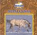 Appaloosas (Great American Horses)