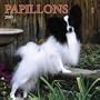 Papillons Wall