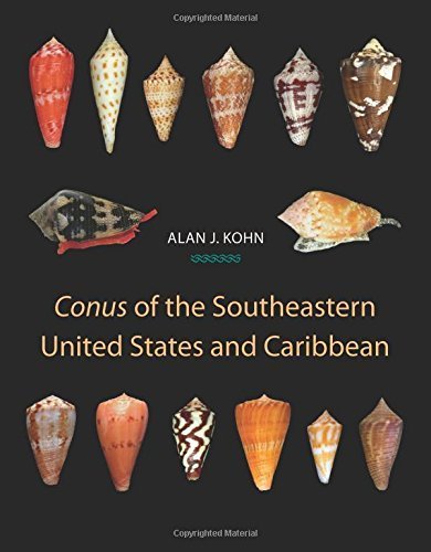Conus of the Southeastern United States and Caribbean by Alan J. Kohn (2014-08-31)