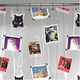 Fancy Cats Vinyl Shower Curtain