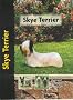 Skye Terrier (Pet Love)