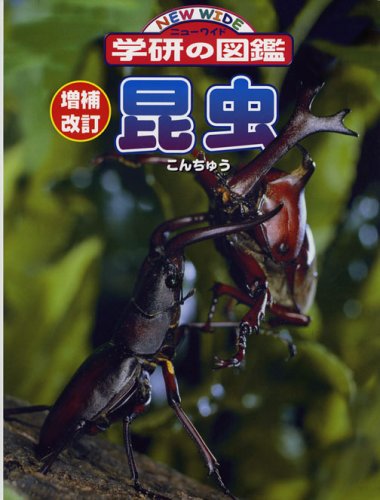 昆虫 (ニューワイド学研の図鑑)