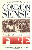 Common Sense and a Little Fire: Women and Working-Class Politics in the United States, 1900-1965 (Gender & American Culture)