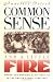 Common Sense and a Little Fire: Women and Working-Class Politics in the United States, 1900-1965 (Gender and American Culture)
