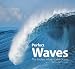 Perfect Waves: The Endless Allure of the Ocean