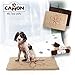 Walky Dog Dirty Dog Rug Microfiber Extra Thick Dog Pet Doormat Anti Slip Backing Super Absorbent (Chocolate, L 35.5