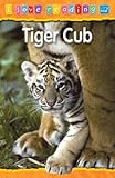 Tiger cub