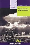 Transformations in Irish culture