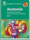 Benninghoff, A:  Anatomie 1: Makroskopische Anatomie, Histologie, Embryologie, Zellbiologie. Band 1: Zelle, Gewebe, Entwicklung, Skelett- und ... Verdauungssystem, Harn- und Genitalsystem