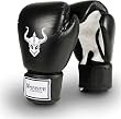 Warrior Boxing Gloves