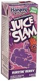 Hansens Juice Slam Burstin Berry, 6.75 Ounce Cans, 5 Counts 51NPhy9BH L. SL160 Hansens Juice Slam Burstin Berry, 6.75 Ounce Cans, 5 Counts