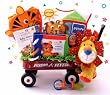 Baby Einstein Wild Wilderness Gift Basket