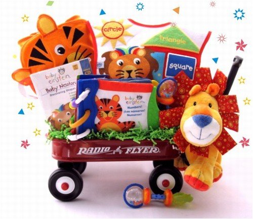 Baby Einstein Wild Wilderness Gift Basket