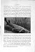 Natural History 1896 Bony-Pike Fish Bow Fin Ganoid