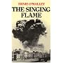 Singing Flame: A Memoir of the Civil War, 1922-24