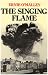 Singing Flame: A Memoir of the Civil War, 1922-24