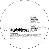 Vulnerabilities and Consequences