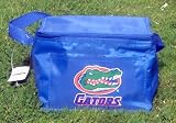 Florida Gators Lunch Bag Cooler Picnic Tote NCAA