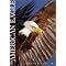 Coffee Table Books About Animals