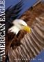 The American Eagle