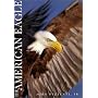 The American Eagle