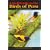 Guide to the Birds of Peru: An Annotated Checklist