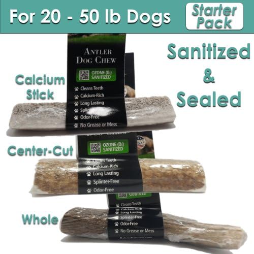 Medium Elk Antler Chew Starter Pack for 20 - 50 Lb Dogs | Sanitized & Sealed Antler Dog Chew | All Natural, No Growth Hormones, Antibiotics, or Preservatives, Naturally Shed --No Animal Harm | Rich in Calcium, Phosphorus and Protein