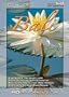 Living Landscapes HD Bali (WMV-HD for Windows Media Players and PC's)