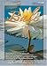 DVD : Living Landscapes HD Bali (WMV-HD for Windows Media Players and PC's)