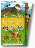 All Creatures Great and Small - The Complete Series 1 Collection [VHS]