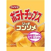 湖池屋 小袋ポテトチップス リッチコンソメ 30g×24袋