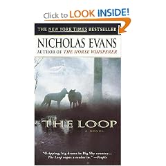The Loop